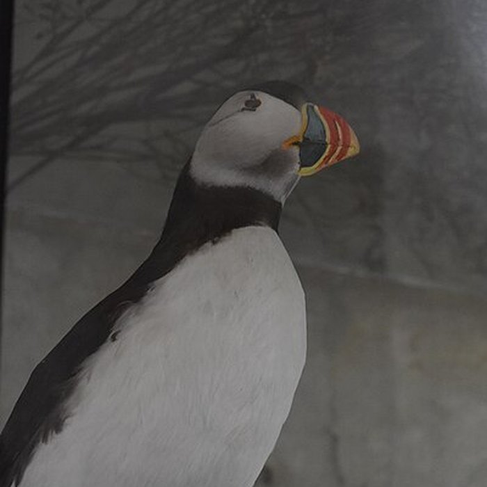 Photo de Tour Saint-Louis de Port-Saint-Louis-du-Rhône