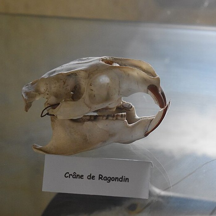 Photo de Tour Saint-Louis de Port-Saint-Louis-du-Rhône