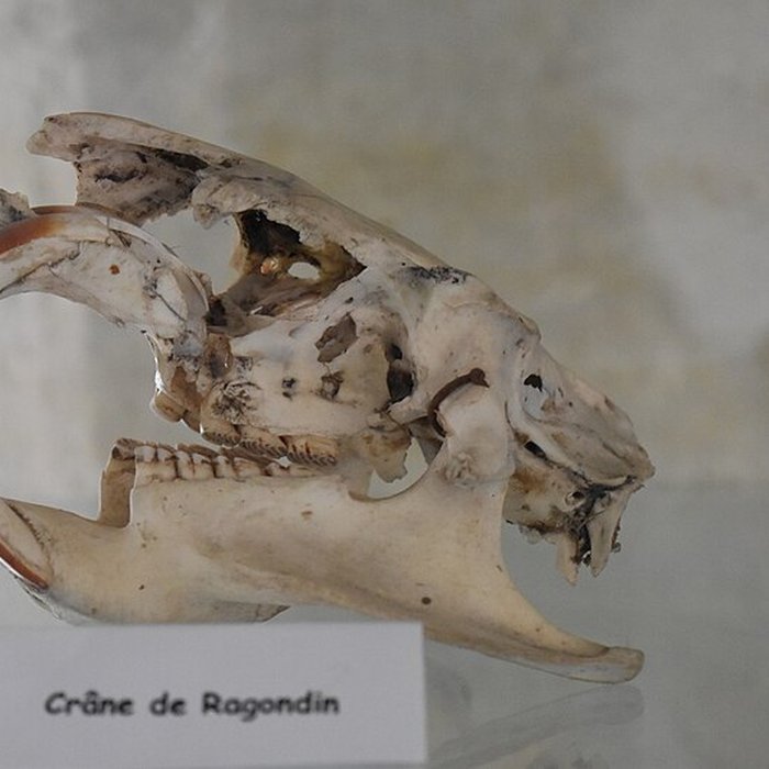 Photo de Tour Saint-Louis de Port-Saint-Louis-du-Rhône