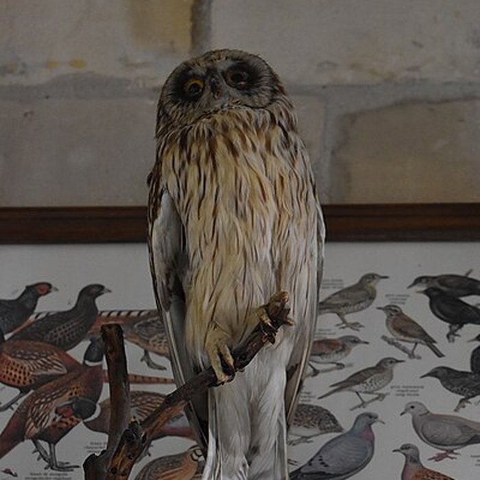 Photo de Tour Saint-Louis de Port-Saint-Louis-du-Rhône