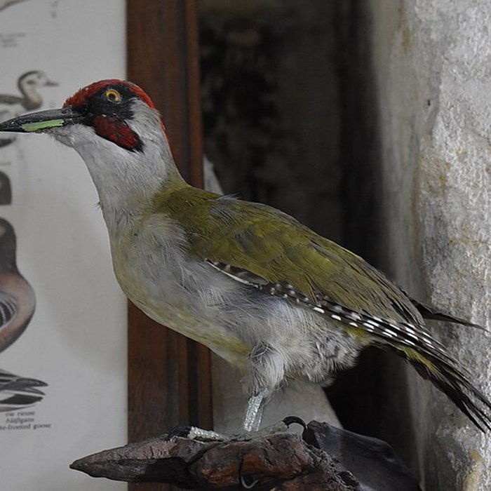 Photo de Tour Saint-Louis de Port-Saint-Louis-du-Rhône