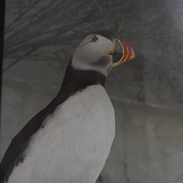 Tour Saint-Louis de Port-Saint-Louis-du-Rhône