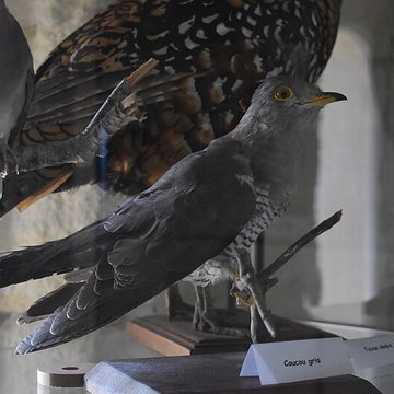 Tour Saint-Louis de Port-Saint-Louis-du-Rhône
