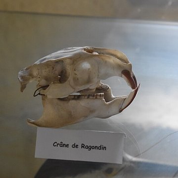 Tour Saint-Louis de Port-Saint-Louis-du-Rhône