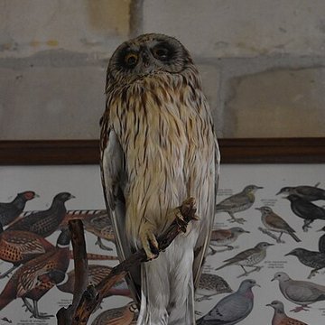 Tour Saint-Louis de Port-Saint-Louis-du-Rhône