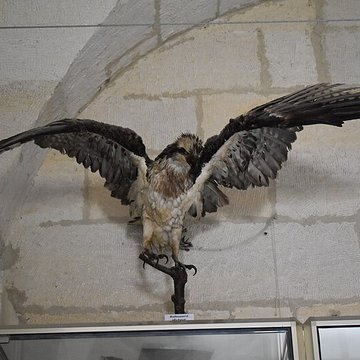 Tour Saint-Louis de Port-Saint-Louis-du-Rhône