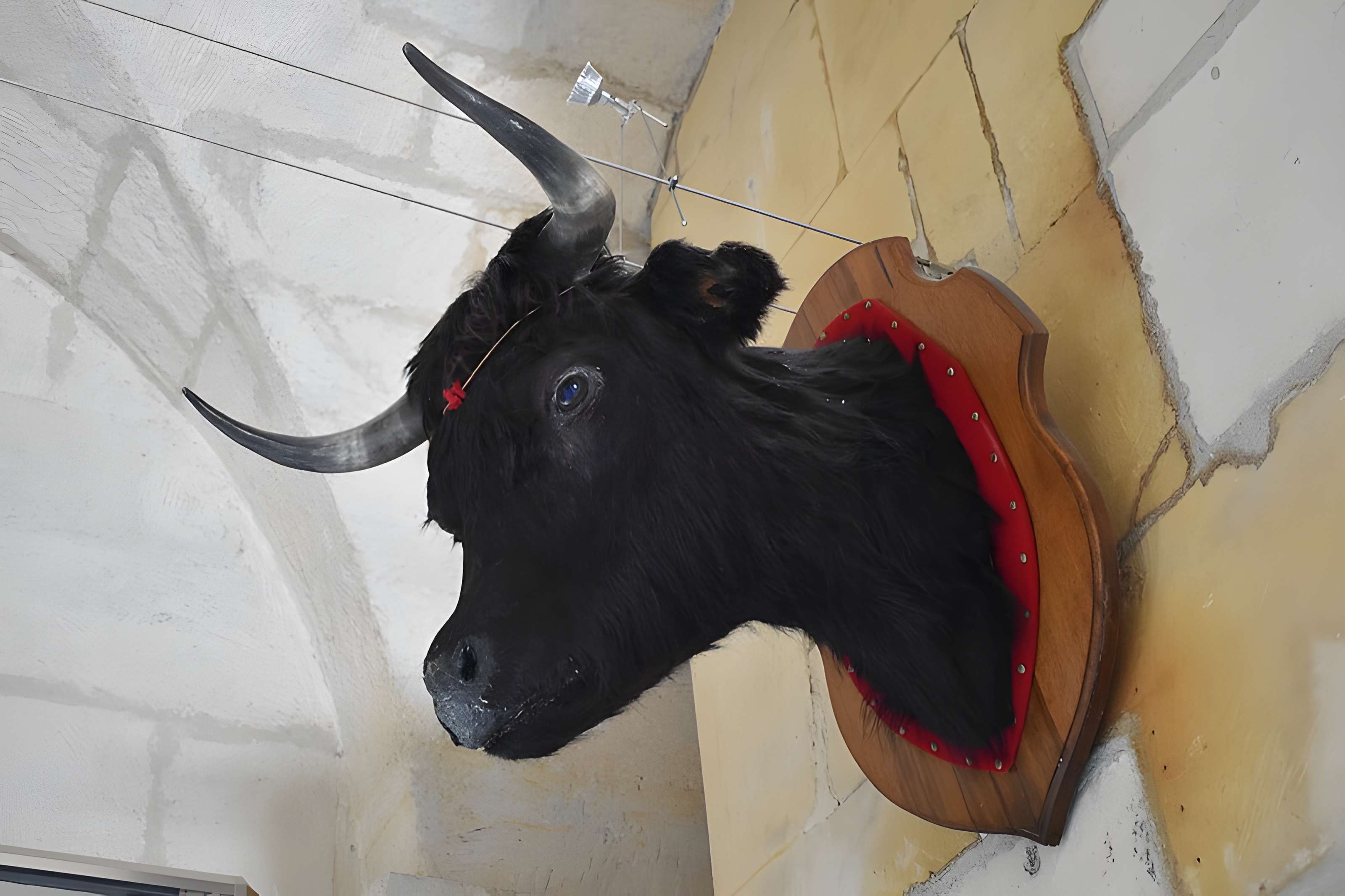 Tour Saint-Louis de Port-Saint-Louis-du-Rhône