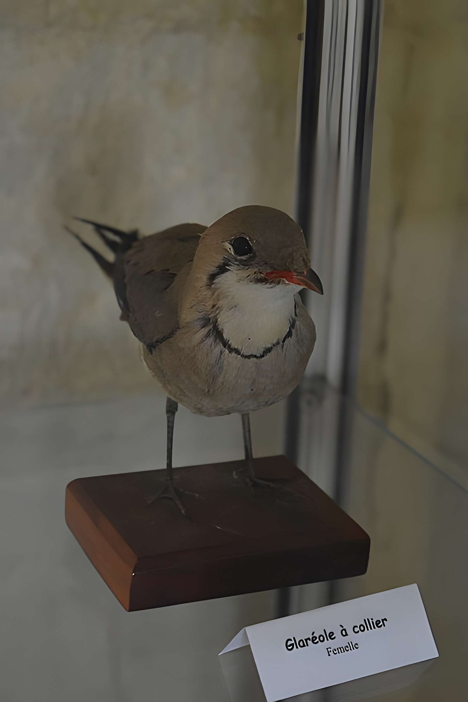 Tour Saint-Louis de Port-Saint-Louis-du-Rhône