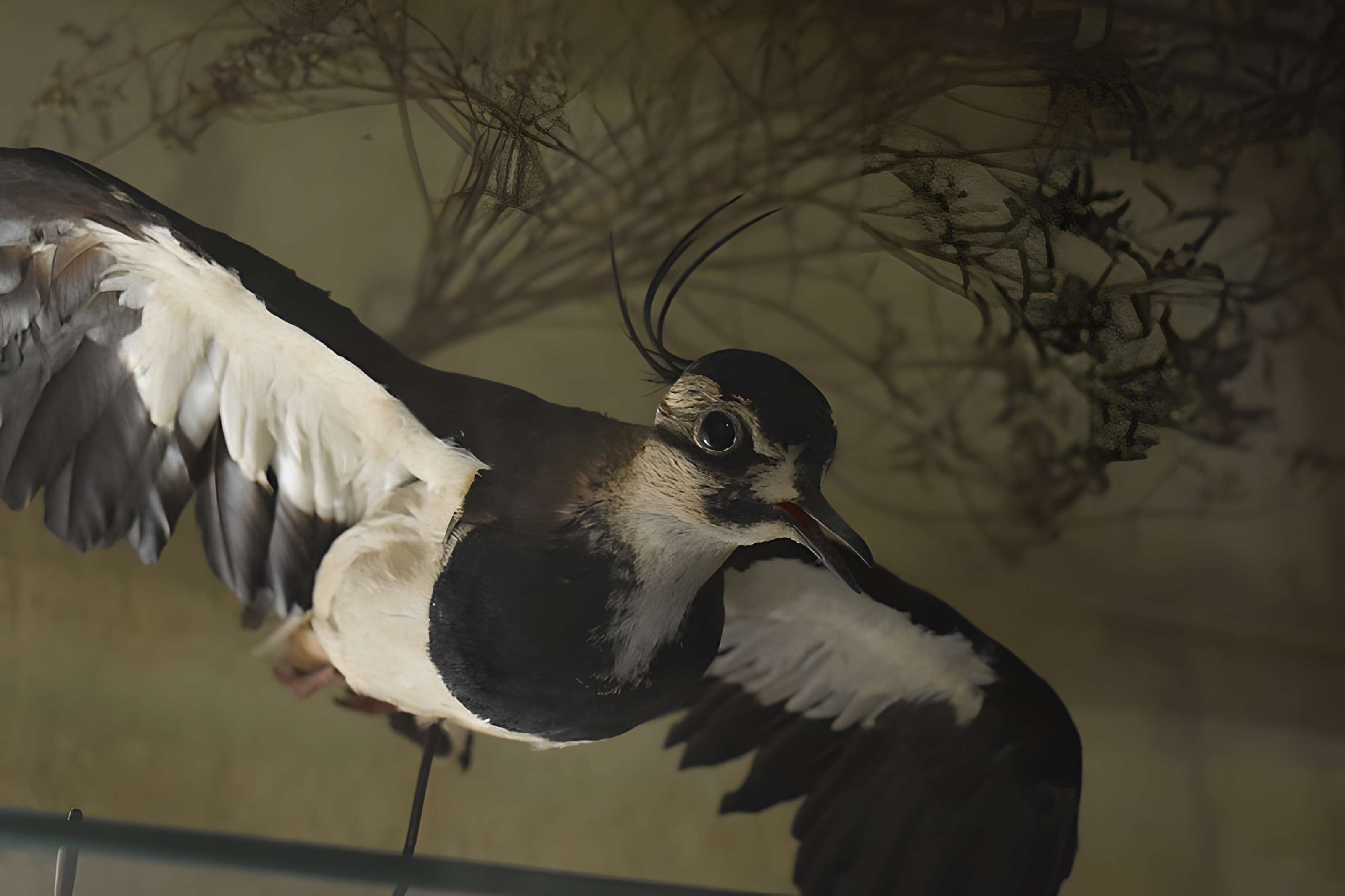 Tour Saint-Louis de Port-Saint-Louis-du-Rhône