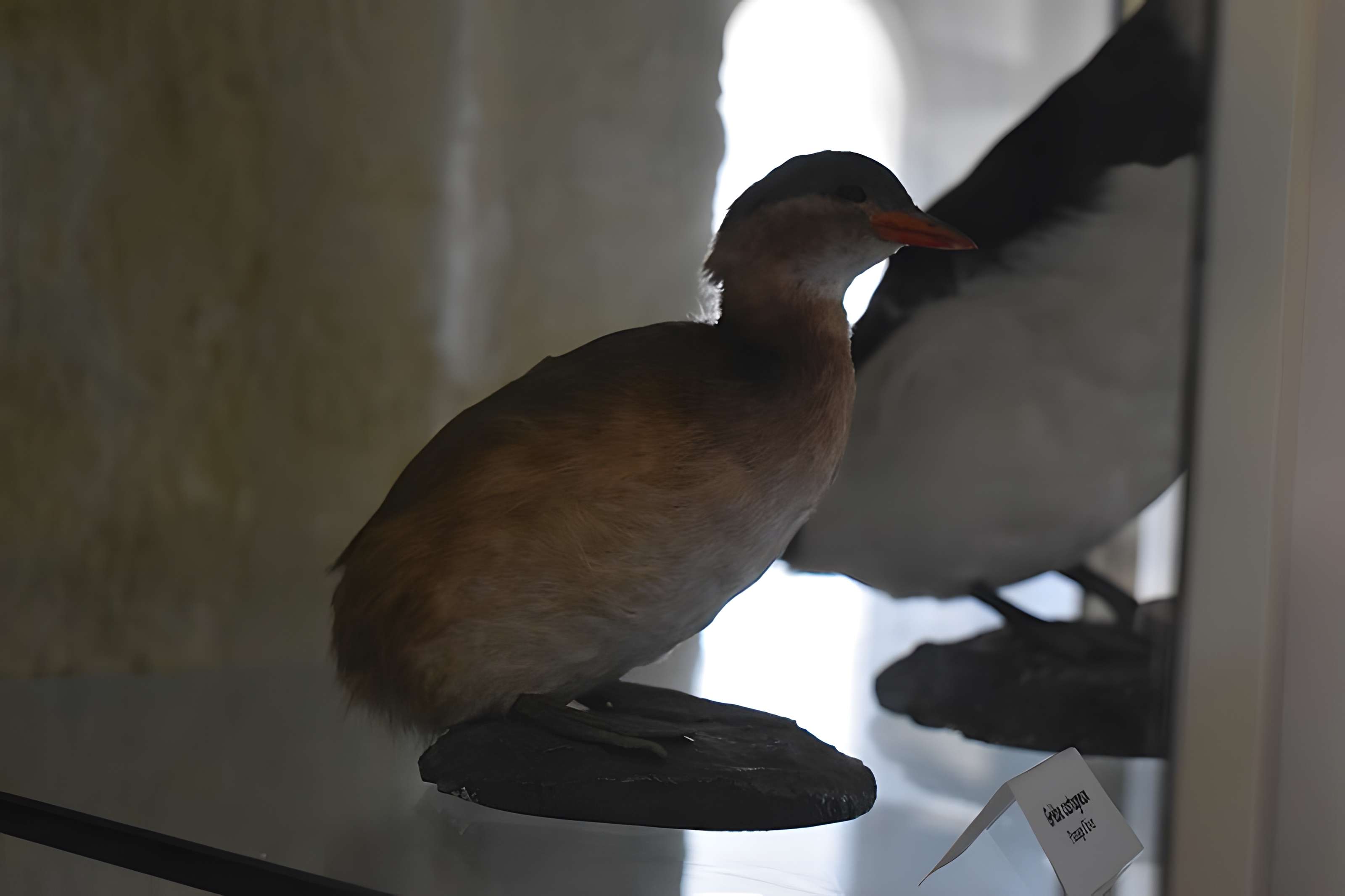 Tour Saint-Louis de Port-Saint-Louis-du-Rhône
