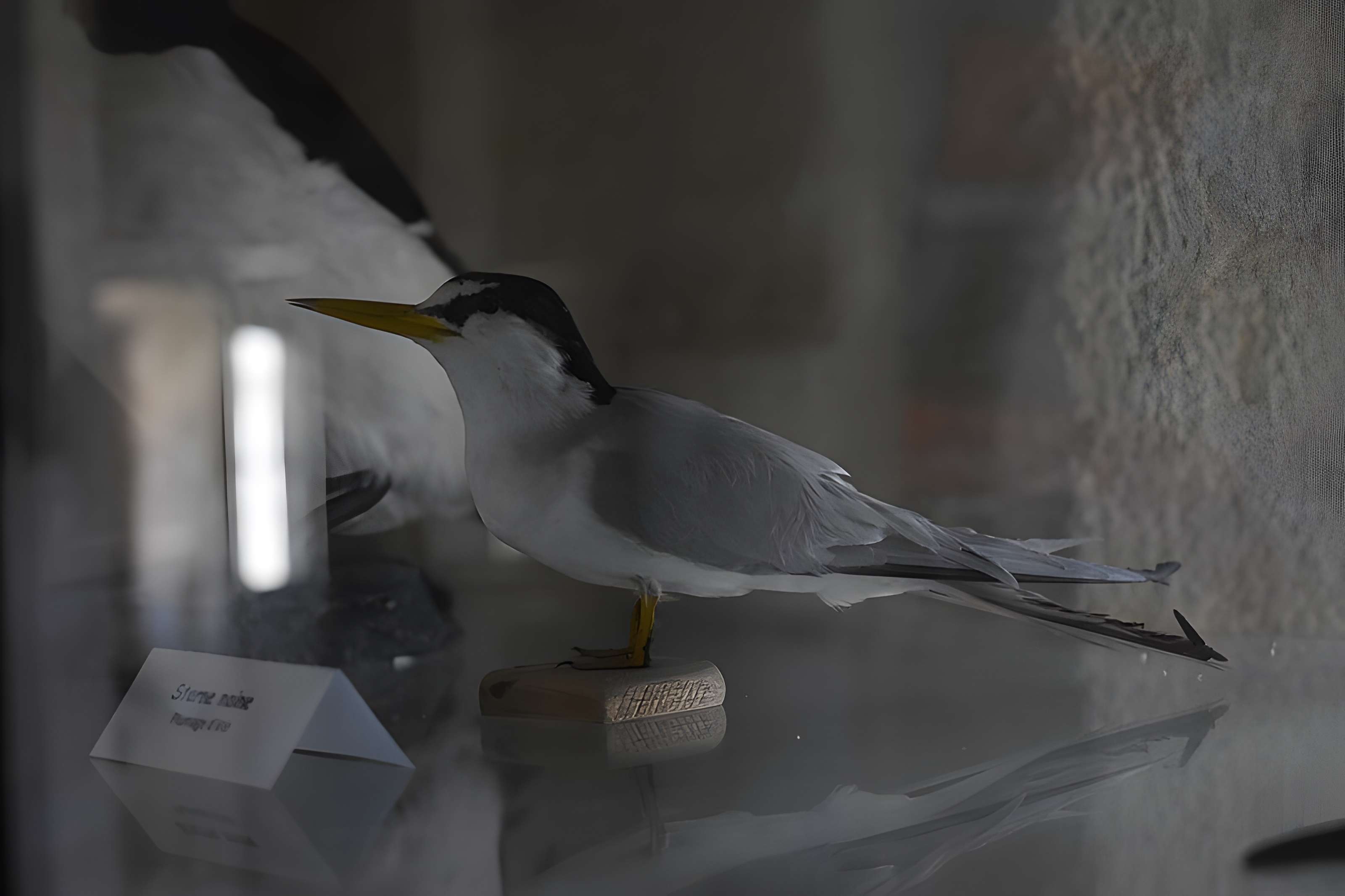 Tour Saint-Louis de Port-Saint-Louis-du-Rhône