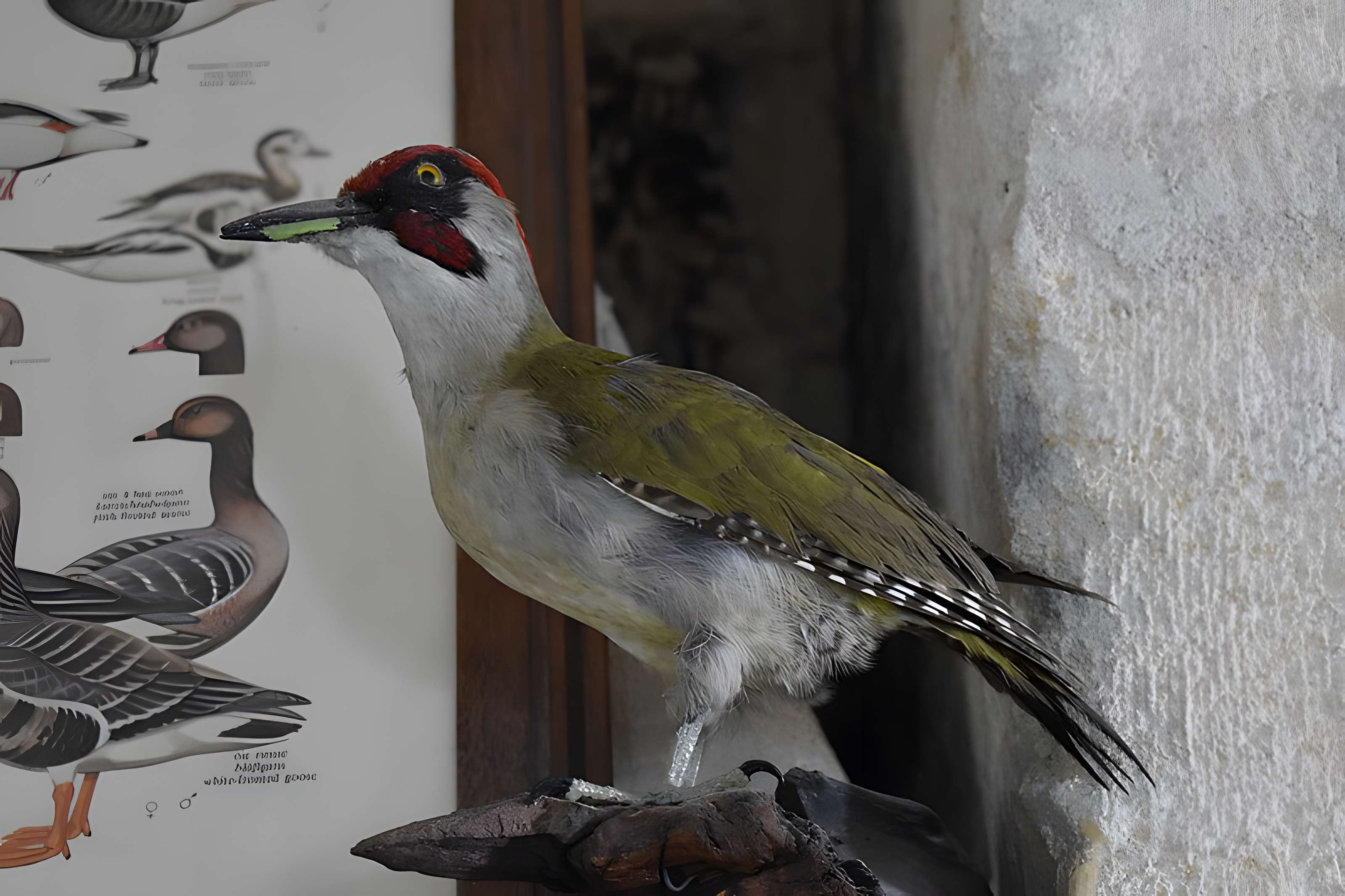 Tour Saint-Louis de Port-Saint-Louis-du-Rhône