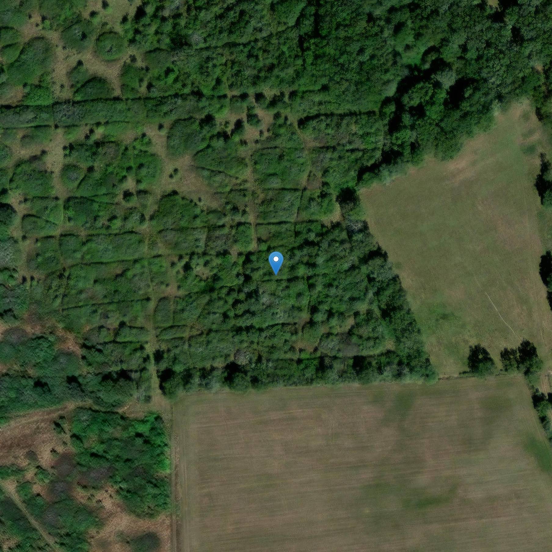 Photo de Donjon de Lenest