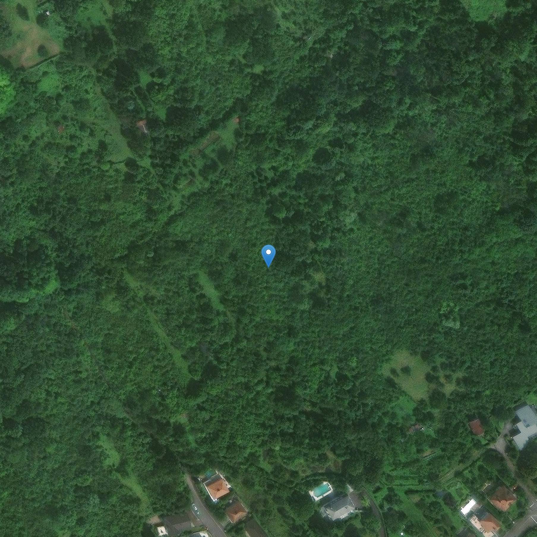 Photo de Donjon des Gournay