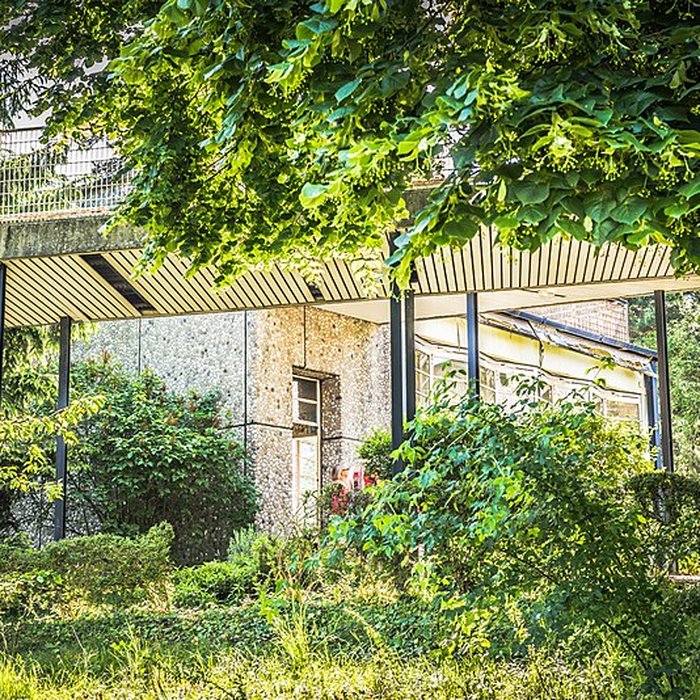 Photo de École de plein air de Suresnes