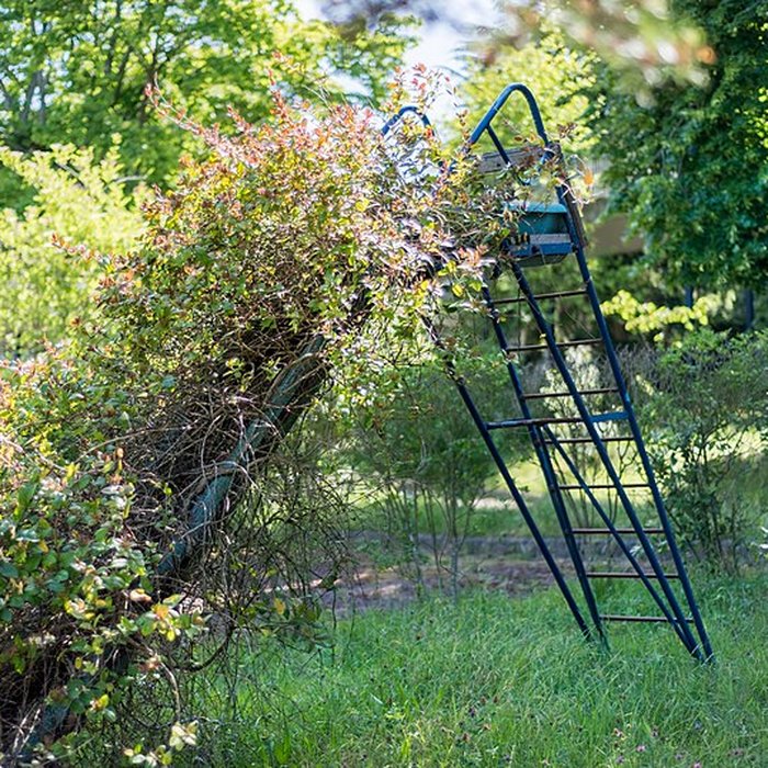 Photo de École de plein air de Suresnes