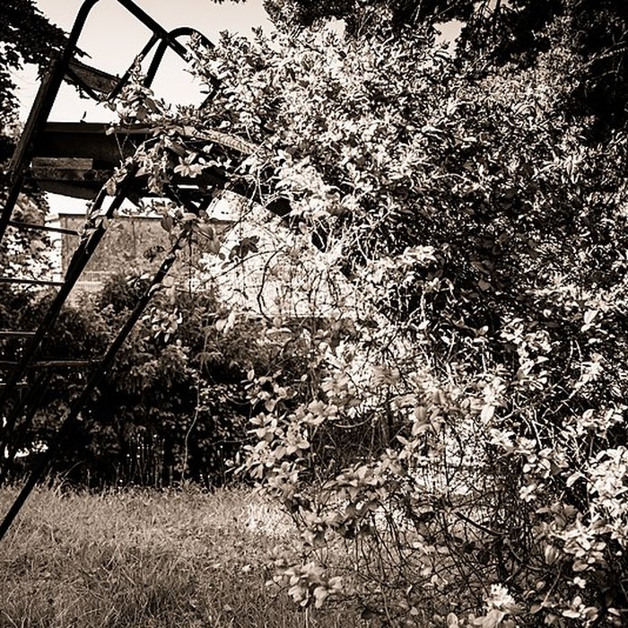 Photo de École de plein air de Suresnes