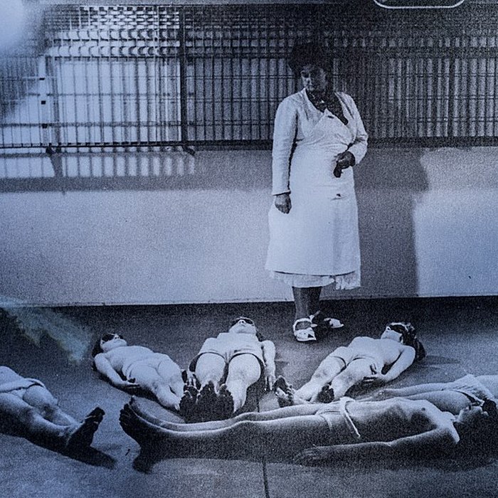 Photo de École de plein air de Suresnes