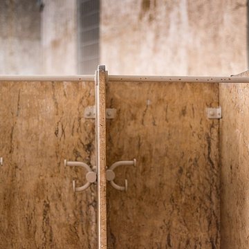 École de plein air de Suresnes