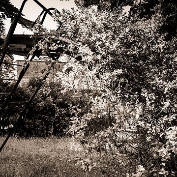 École de plein air de Suresnes