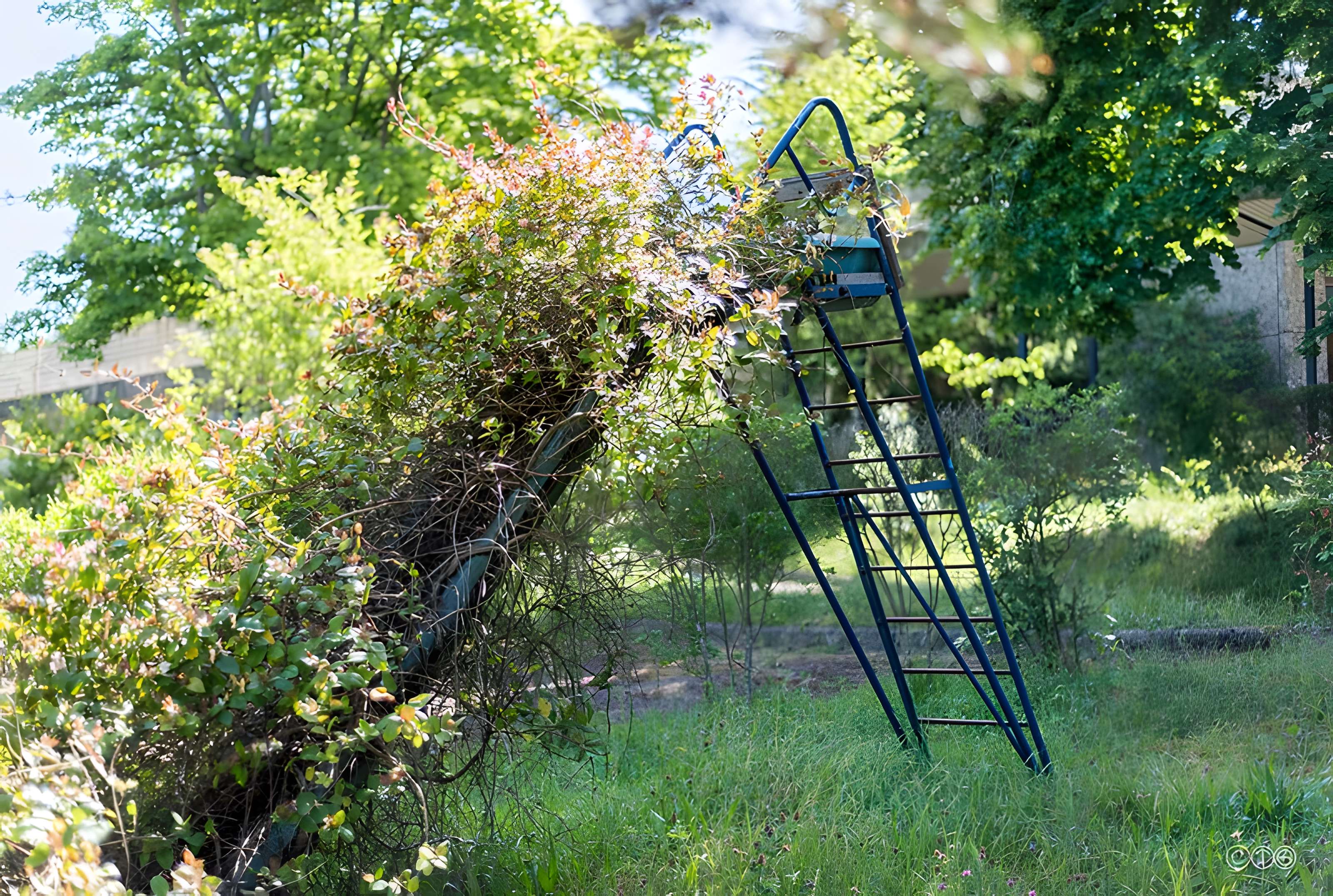 École de plein air de Suresnes