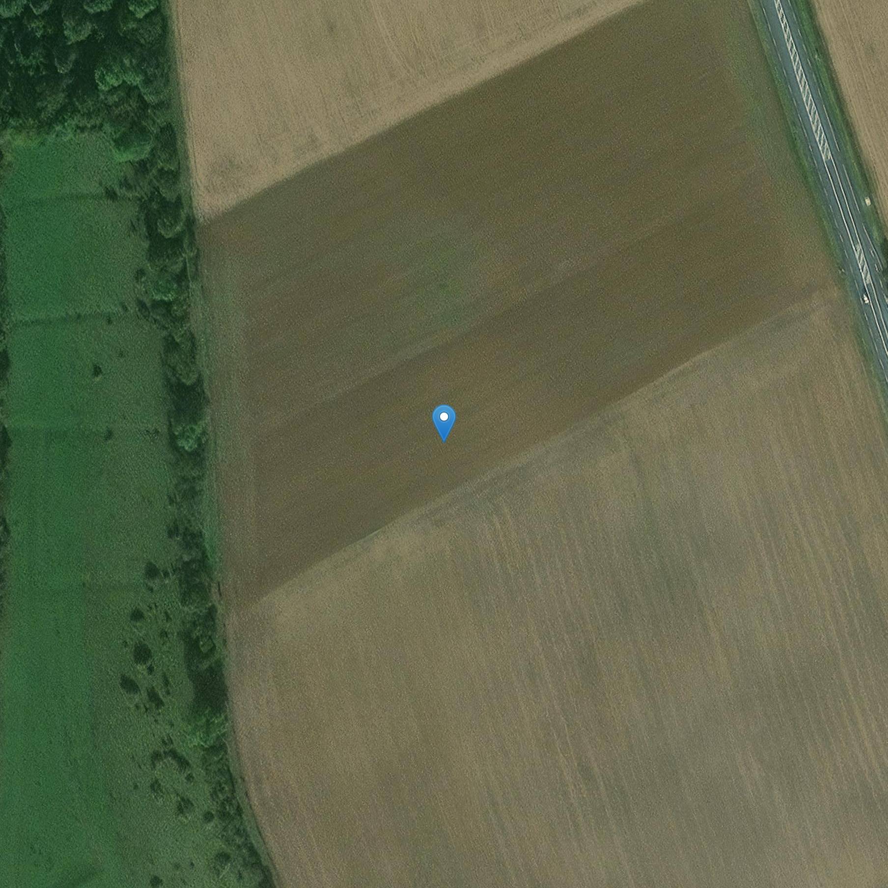 Photo de Édifice gallo-romain heptagonal de Juillé