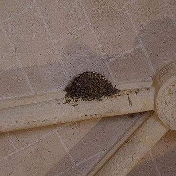 Église de Chazelles à Cormatin