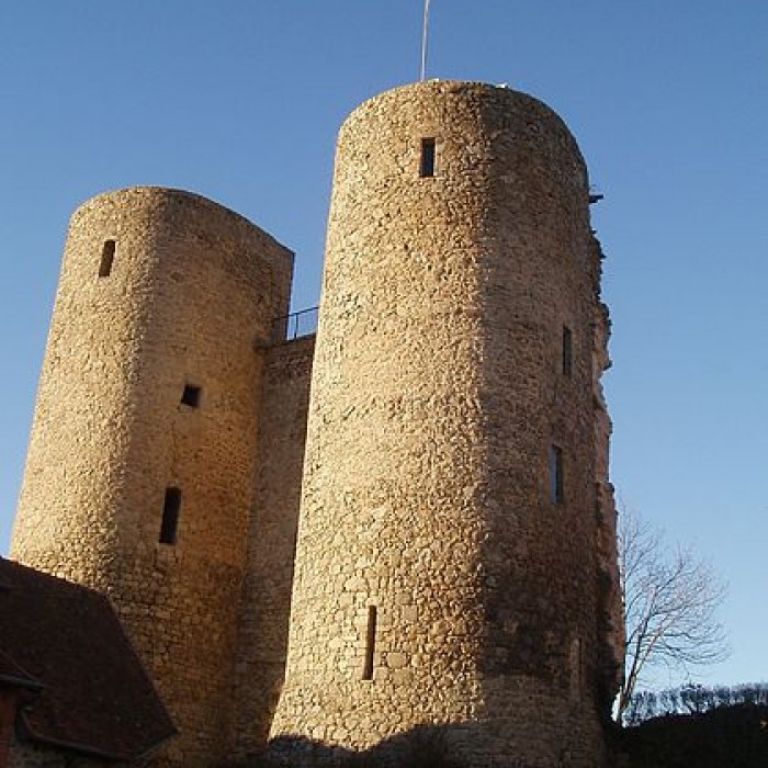 Photo de Restes du château