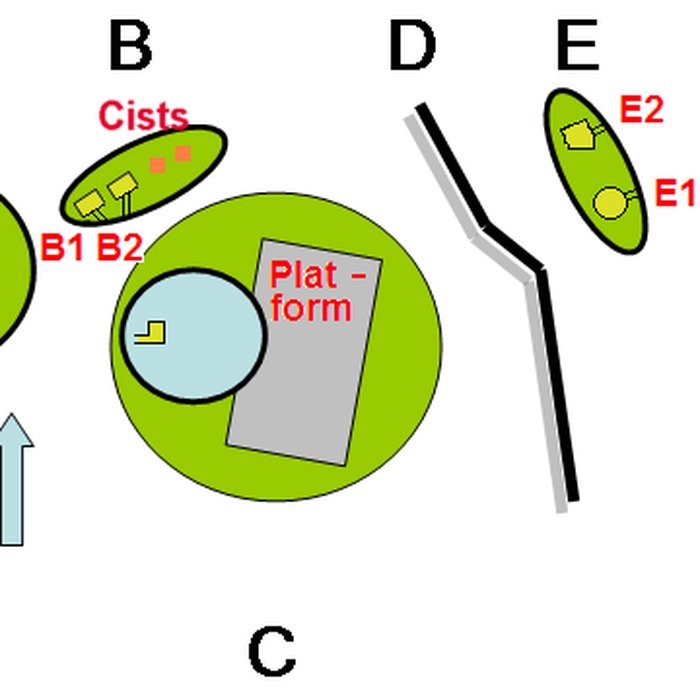 Photo de Groupe de six tumuli