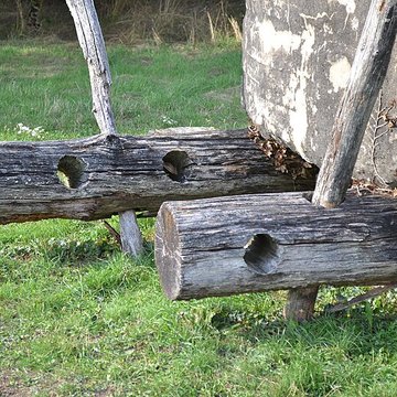 Groupe de six tumuli