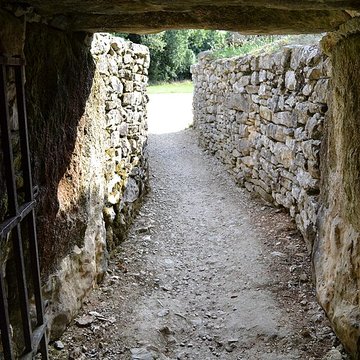 Groupe de six tumuli