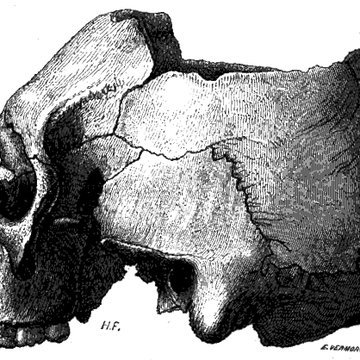 Groupe de six tumuli