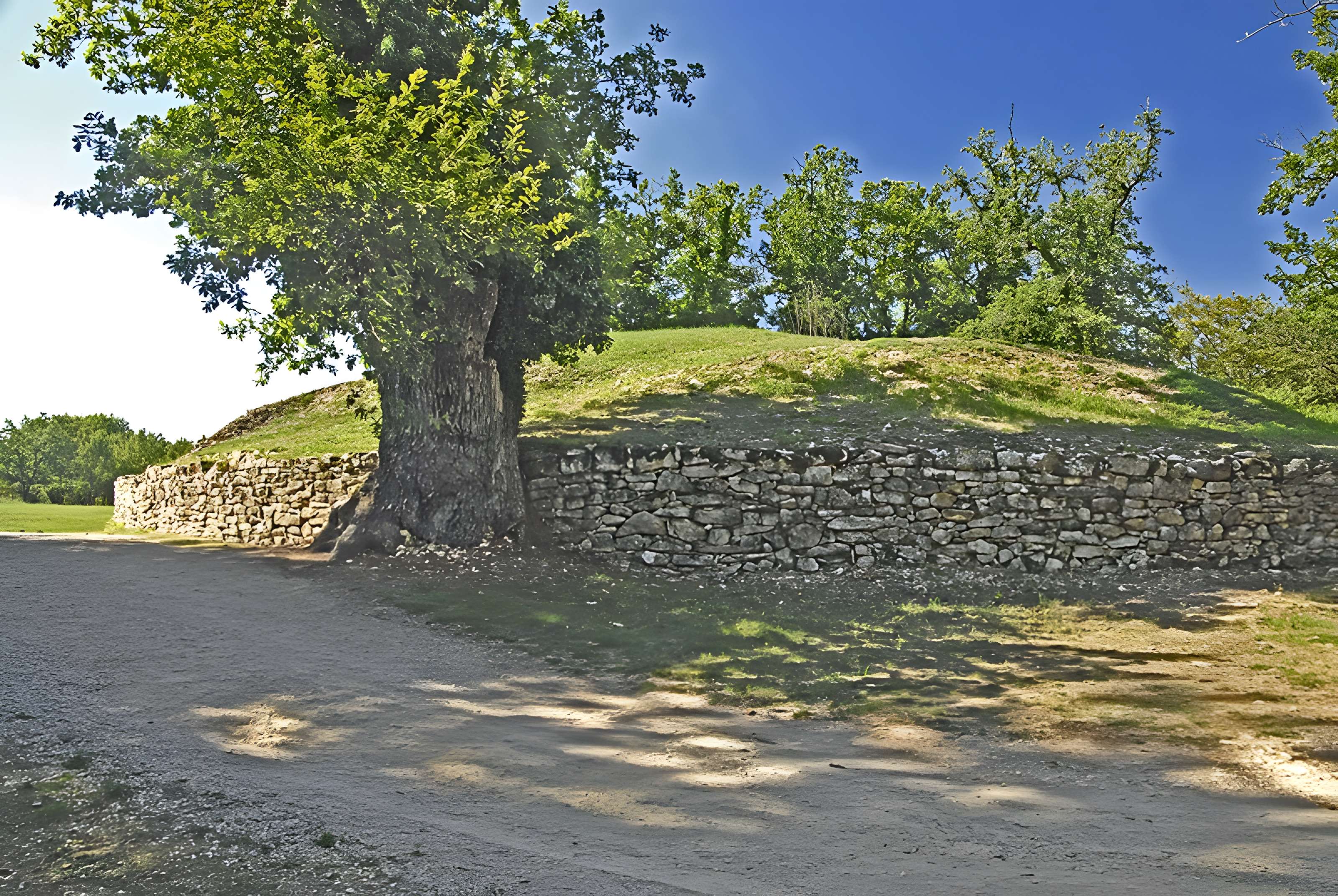 Groupe de six tumuli