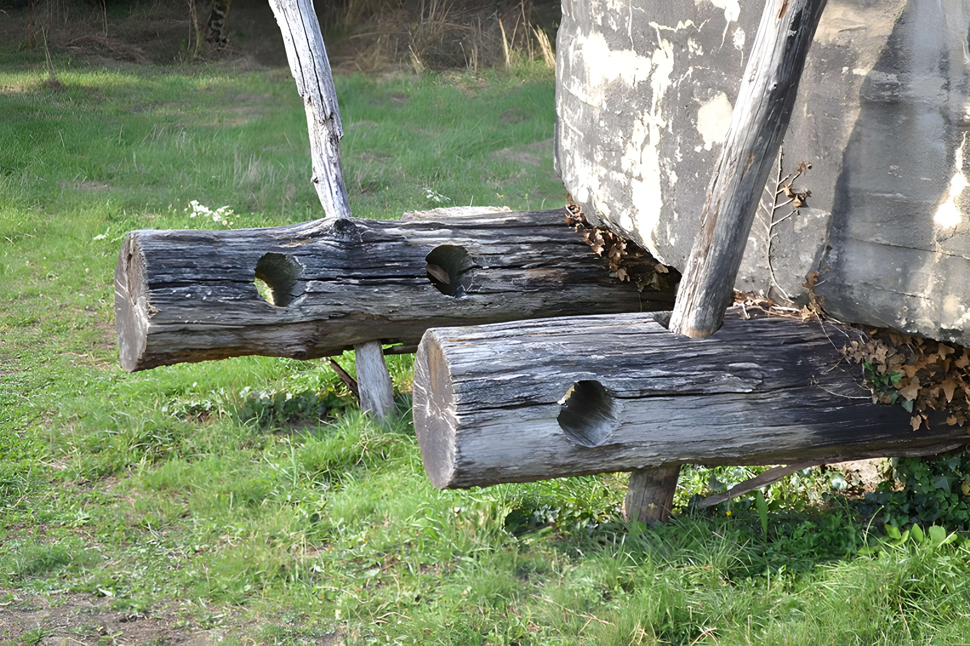 Groupe de six tumuli