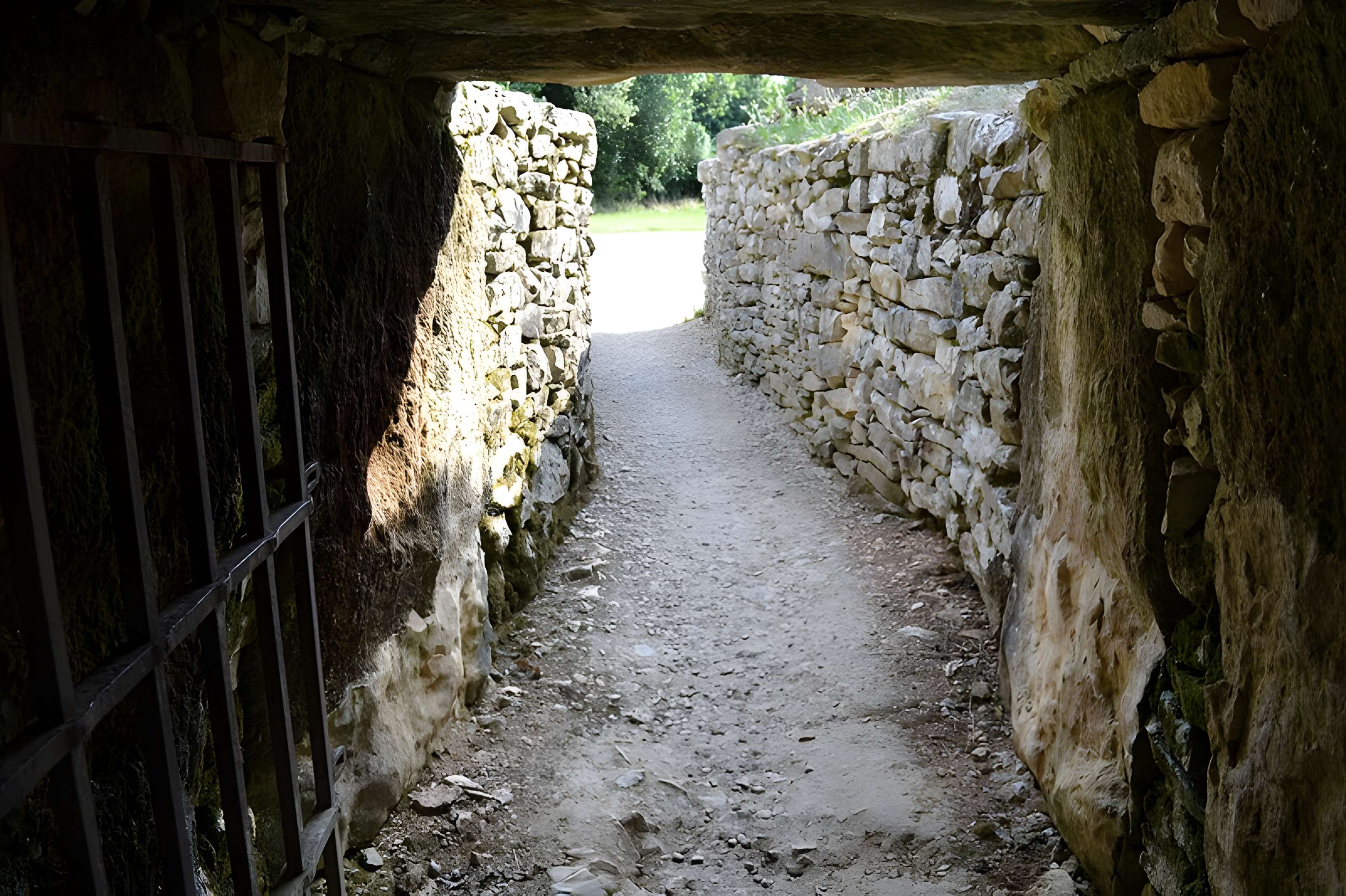 Groupe de six tumuli