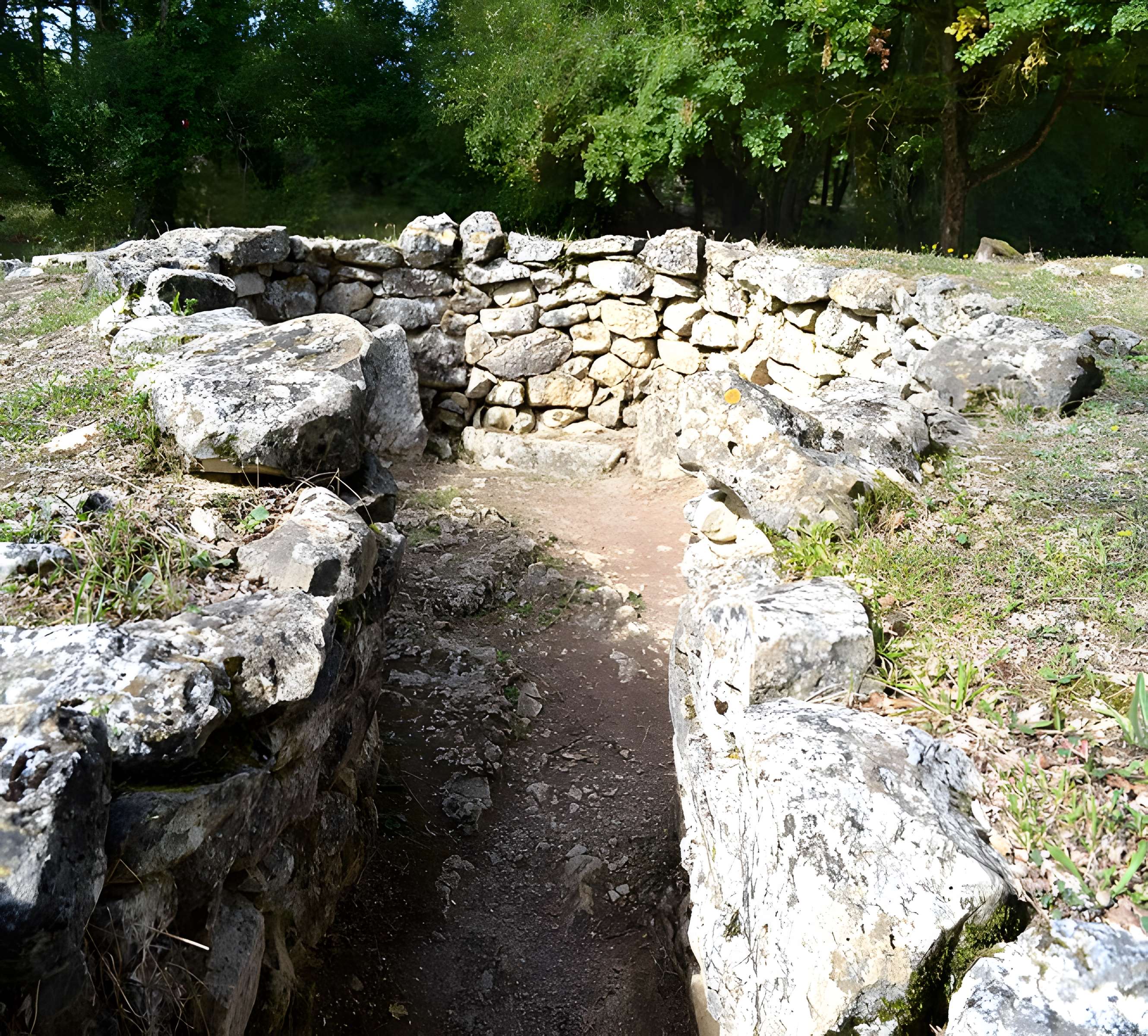 Groupe de six tumuli