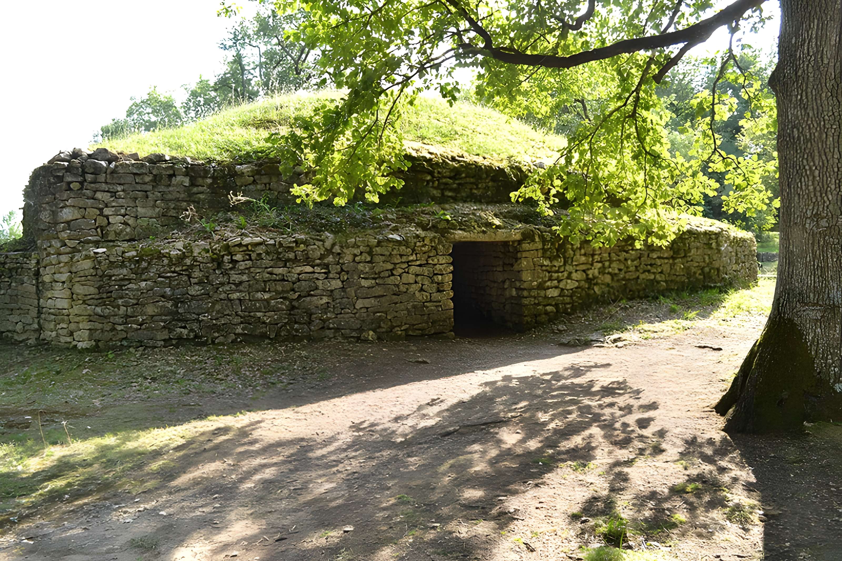 Groupe de six tumuli