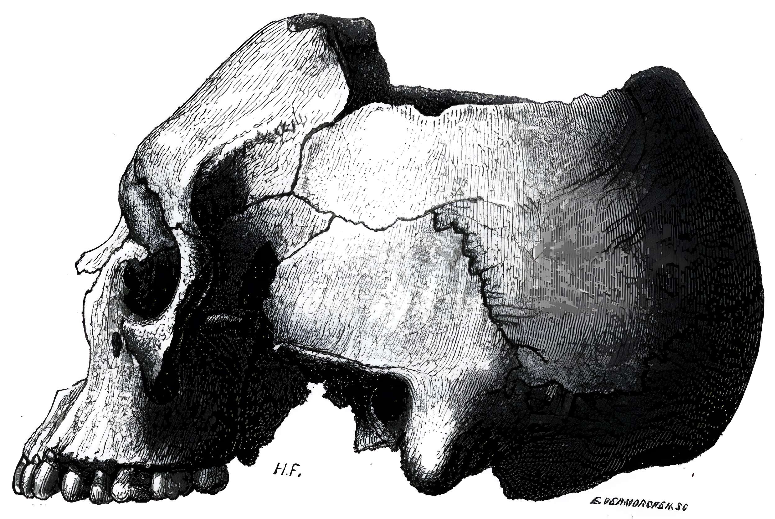 Groupe de six tumuli