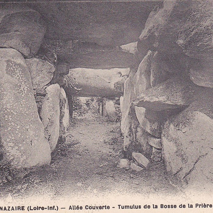 Photo de Tumulus de Dissignac à Saint-Nazaire