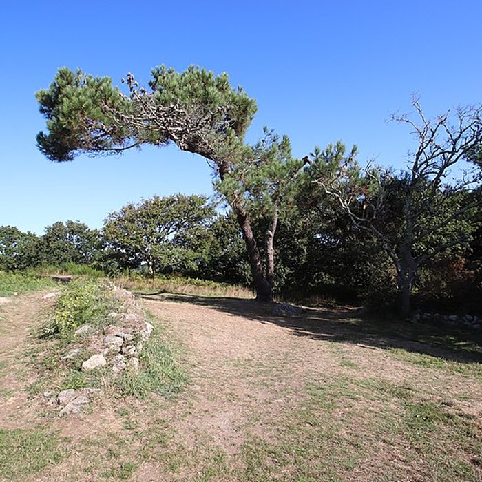 Photo de Tumulus Saint-Michel à Carnac