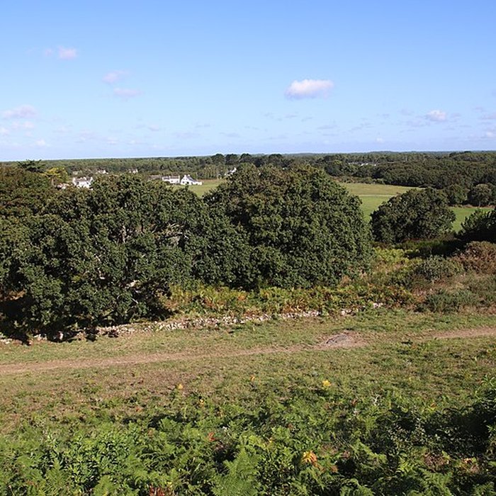 Photo de Tumulus Saint-Michel à Carnac