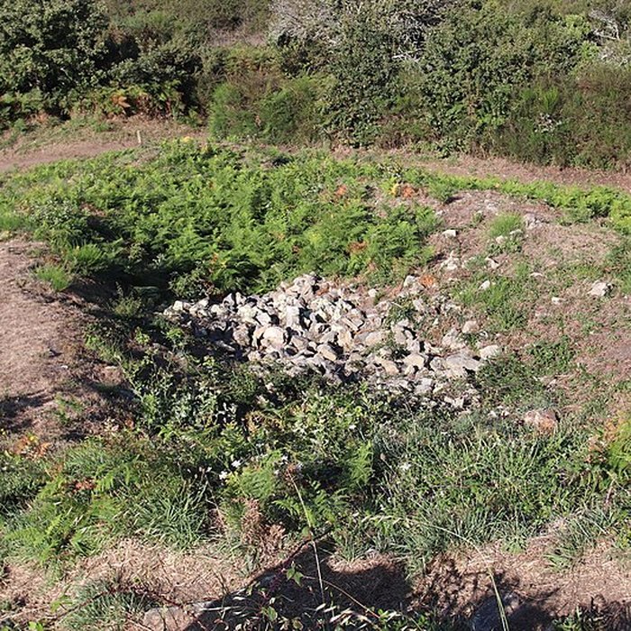 Photo de Tumulus Saint-Michel à Carnac