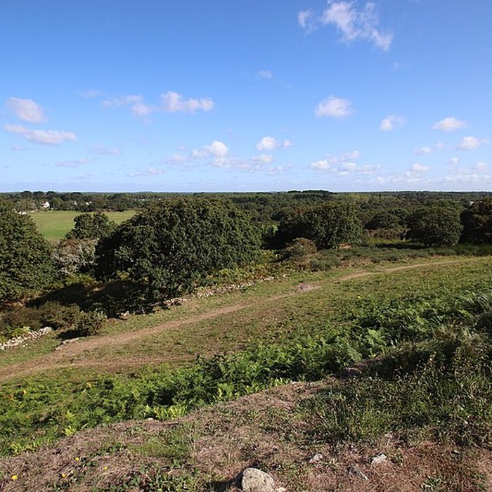 Photo de Tumulus Saint-Michel à Carnac