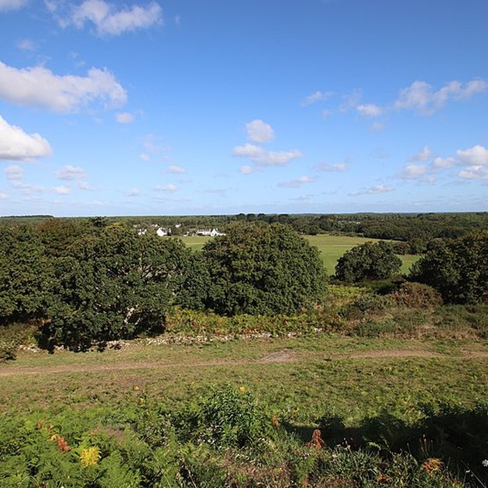 Photo de Tumulus Saint-Michel à Carnac