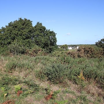 Tumulus Saint-Michel à Carnac