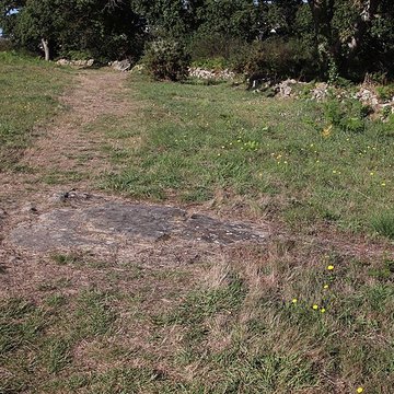 Tumulus Saint-Michel à Carnac