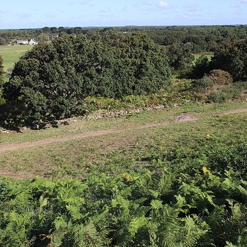 Tumulus Saint-Michel à Carnac