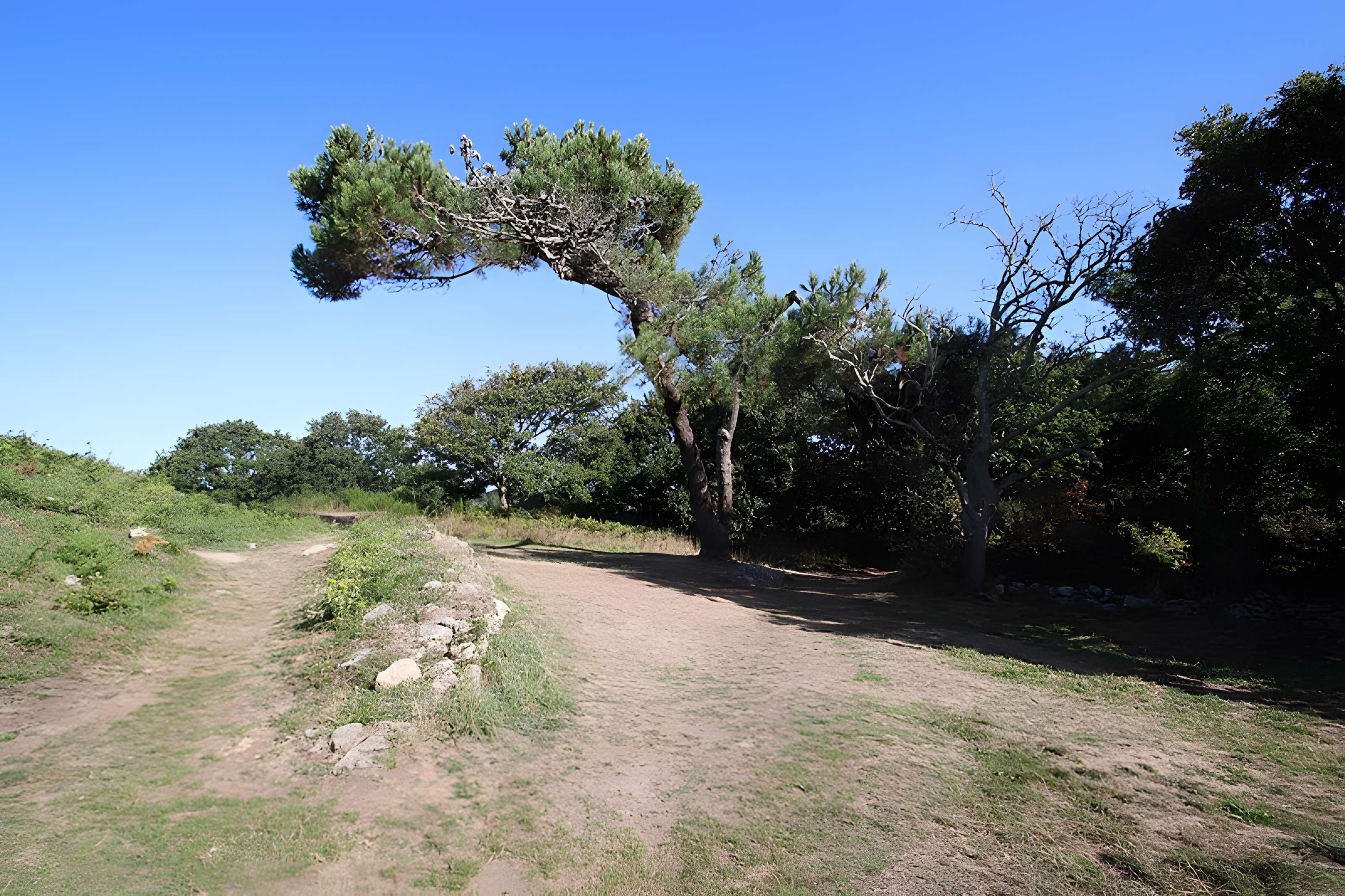 Tumulus Saint-Michel à Carnac