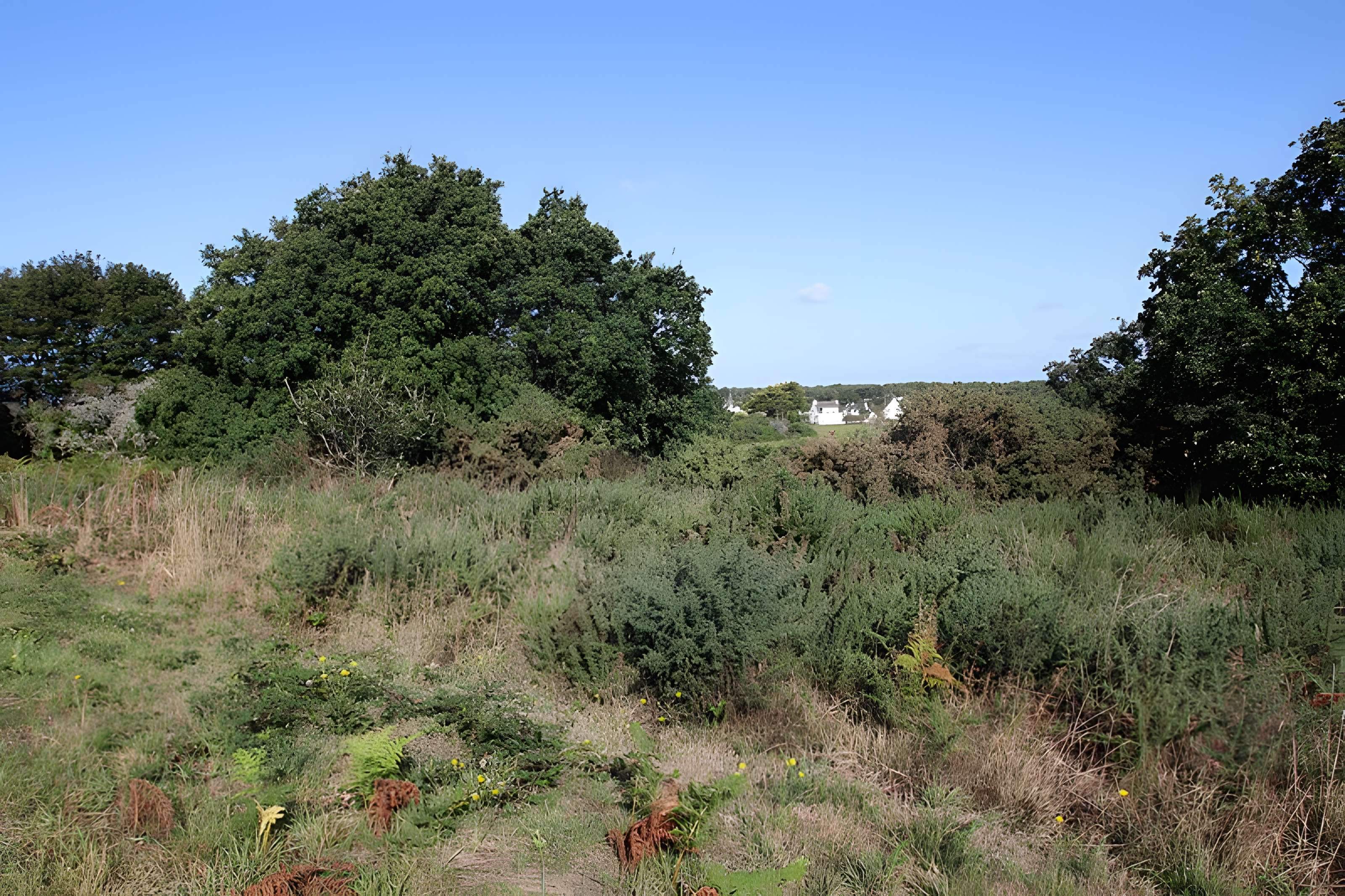 Tumulus Saint-Michel à Carnac