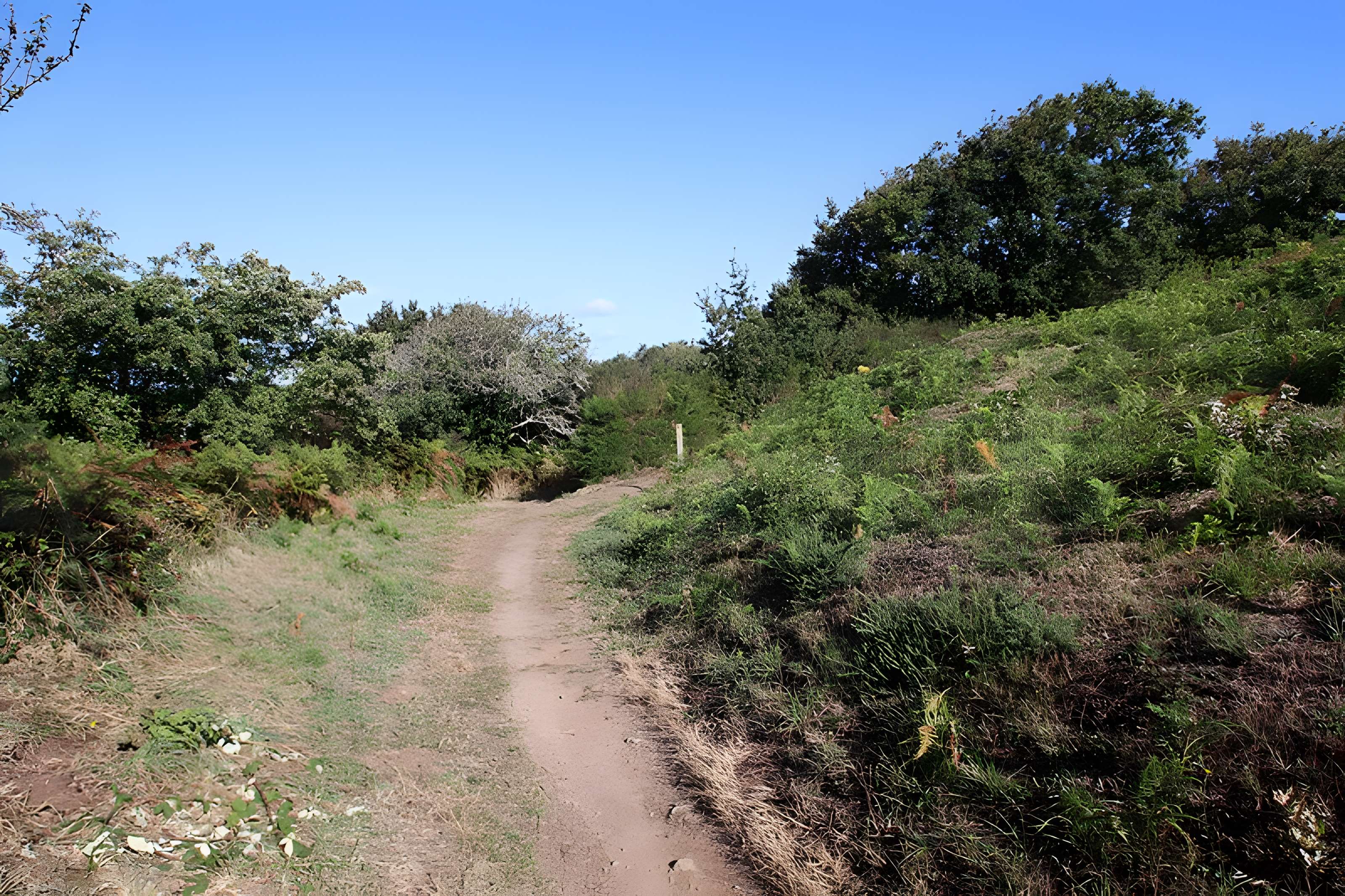 Tumulus Saint-Michel à Carnac